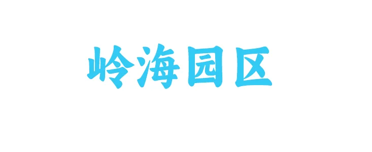 合作伙伴