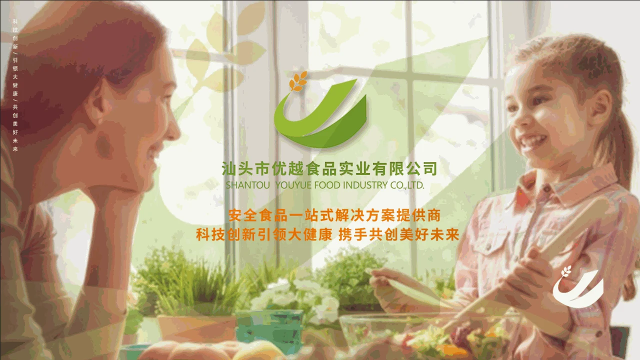 企业封面 PPT 内容