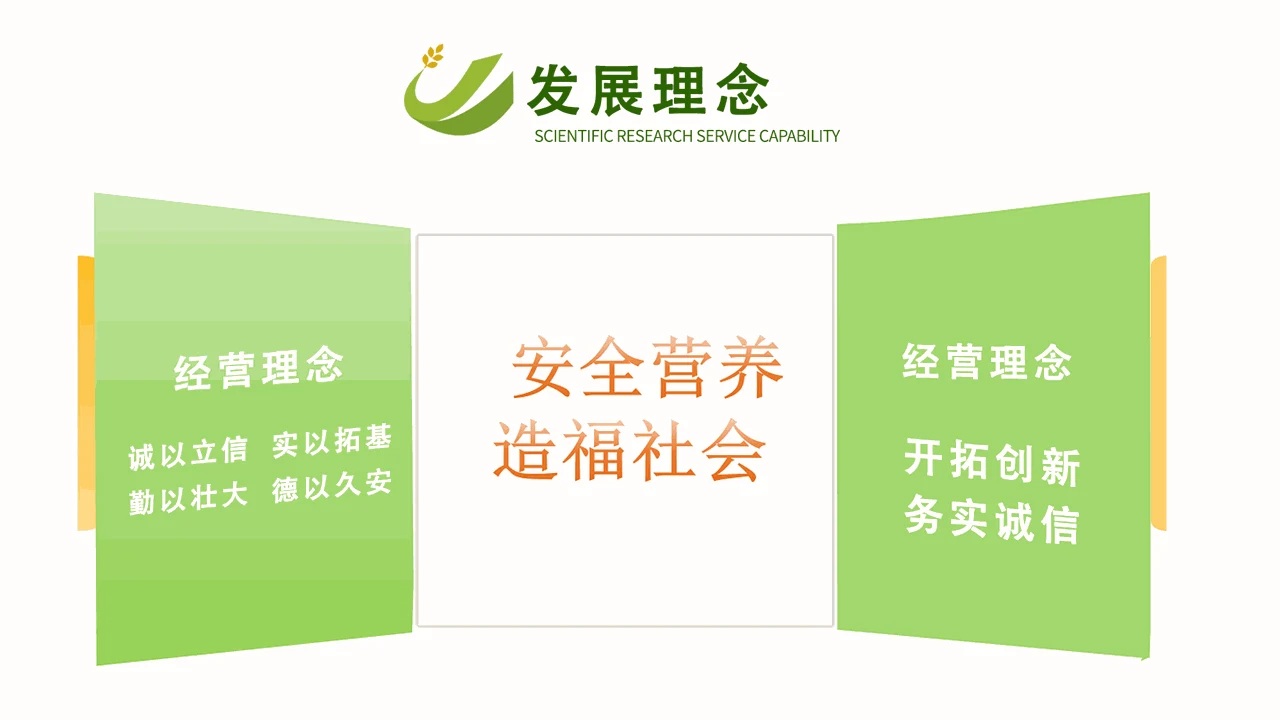 发展理念 PPT 内容