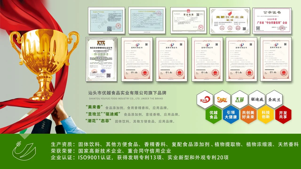 企业资质与品牌 PPT 内容
