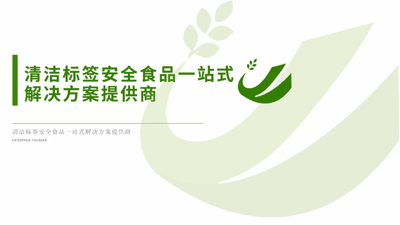 清洁标签安全食品定位 PPT 内容