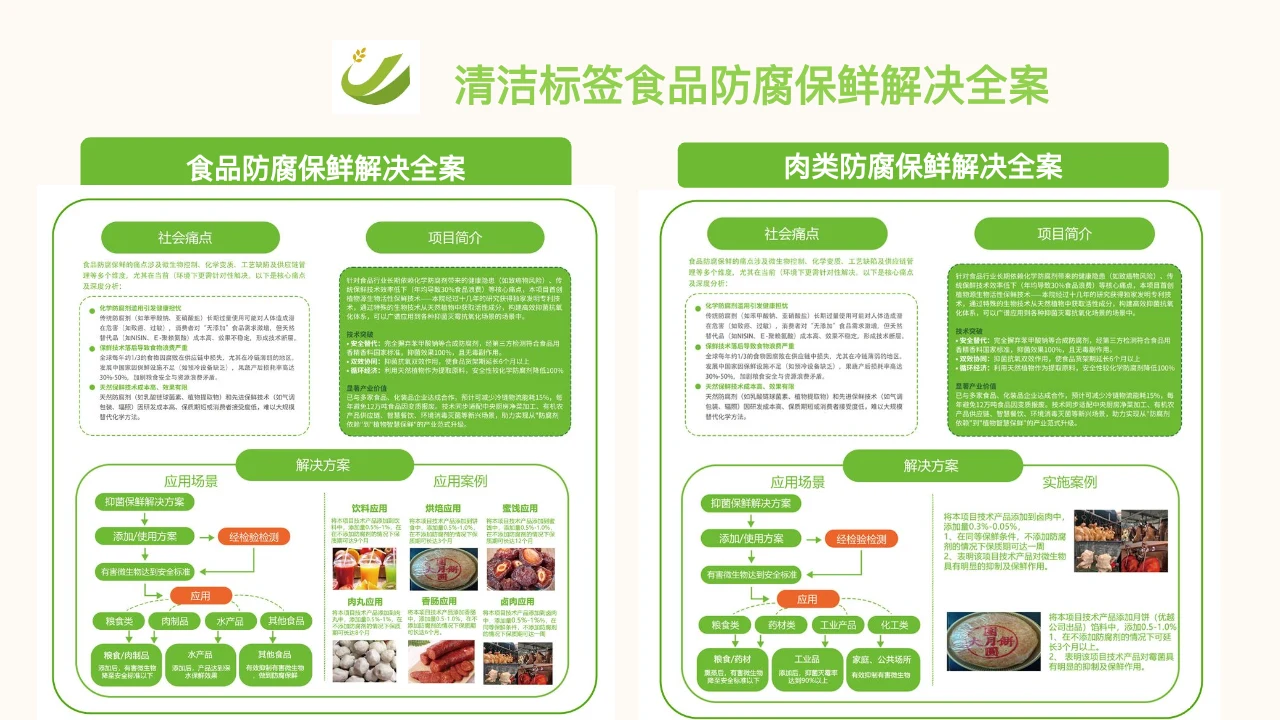 食品与肉类防腐保鲜解决全案 PPT 内容