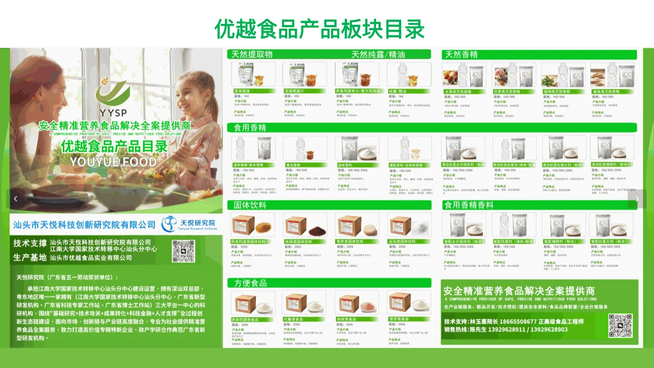 公司产品目录 PPT 内容