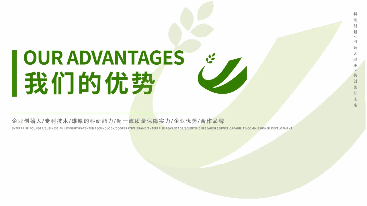 企业优势分章 PPT 内容