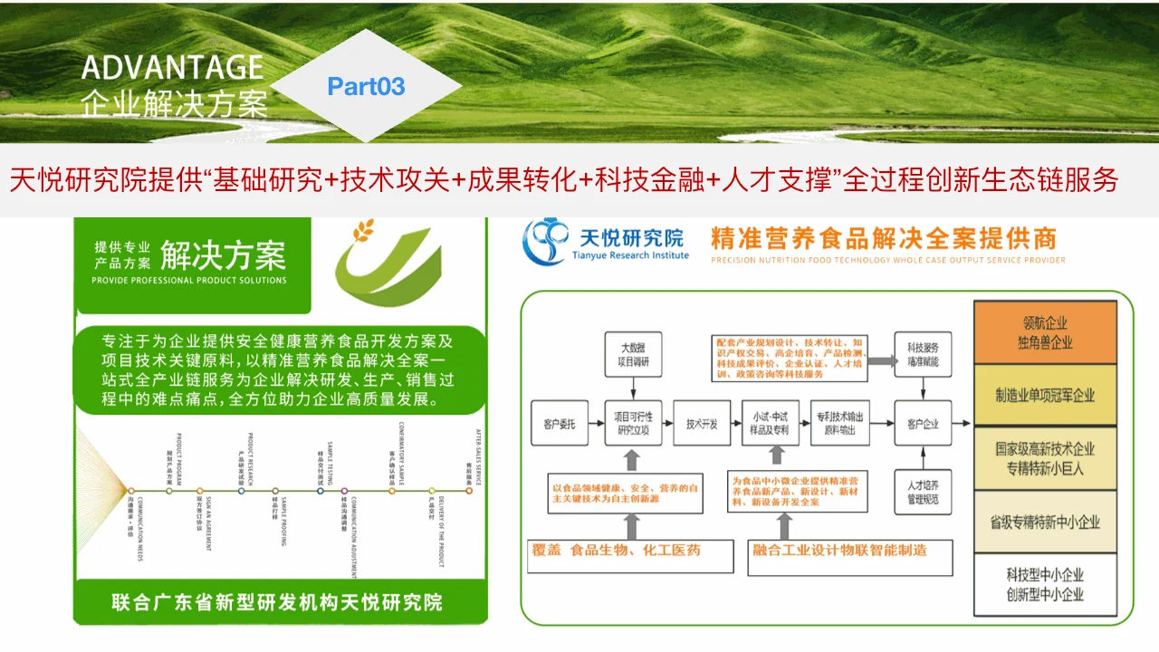 企业解决方案 PPT 内容