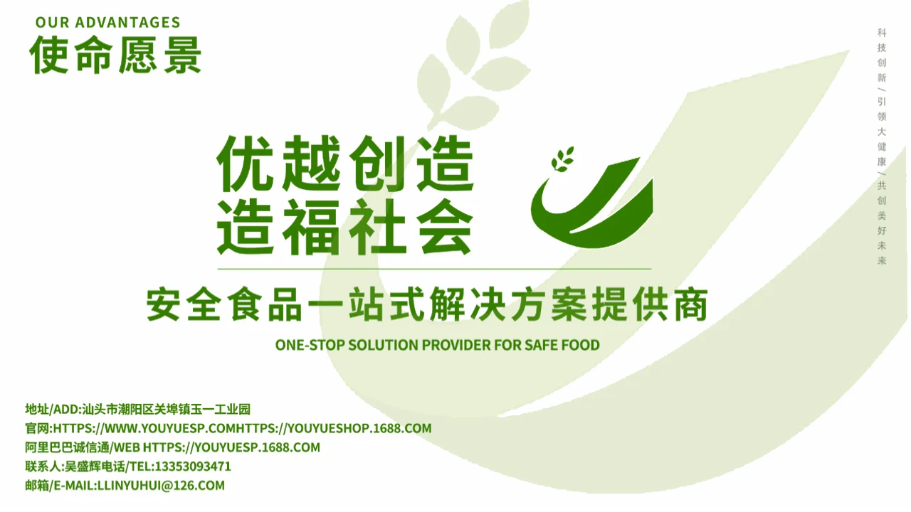 使命愿景 PPT 内容